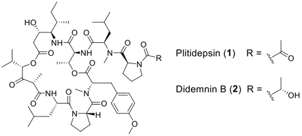 1.png 1.png